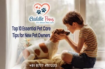 Top 10 Essential Pet Care Tips for New Pet Owners