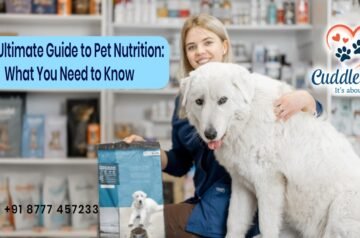The Ultimate Guide to Pet Nutrition: What You Need to Know