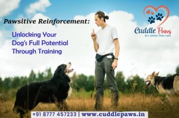 Pawsitive Reinforcement: Unleashing Your Dog’s Full Potential Through Fun Training!