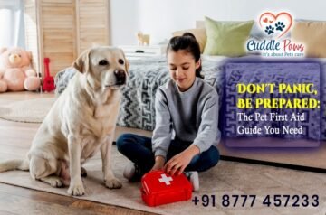 Don’t Panic, Be Prepared: The Pet First Aid Guide You Need