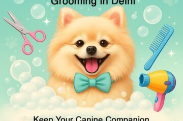 The Ultimate Guide to Dog Grooming in Delhi: Keep Your Canine Companion Happy & Healthy