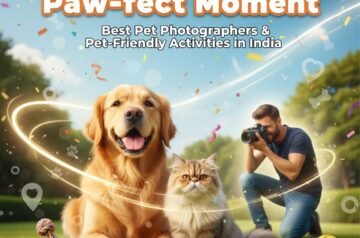 Capture the Paw-fect Moment: Best Pet Photographers & Pet-Friendly Activities in India